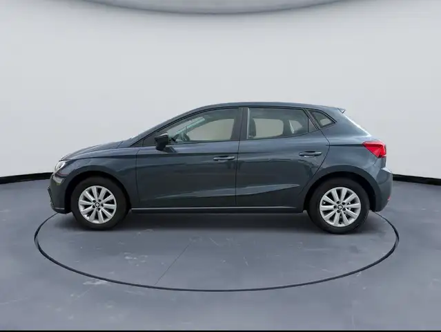 Seat Ibiza view 2