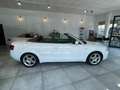 Audi A4 Cabriolet 1.8 T S Line+ Inspektion + TÜV NEU Blanc - thumbnail 8