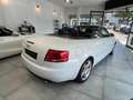 Audi A4 Cabriolet 1.8 T S Line+ Inspektion + TÜV NEU Blanc - thumbnail 7
