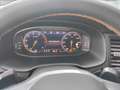CUPRA Ateca 1.5 TSI DSG *BEATS*360°*AHK*ACC*SHZ* Grau - thumbnail 16