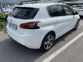 Peugeot 308 5p 1.5 bluehdi Allure s&s 130cv eat8 my20 Bianco - thumbnail 3