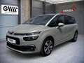 Citroen Grand C4 Picasso Grand C4 Picasso Beige - thumbnail 1