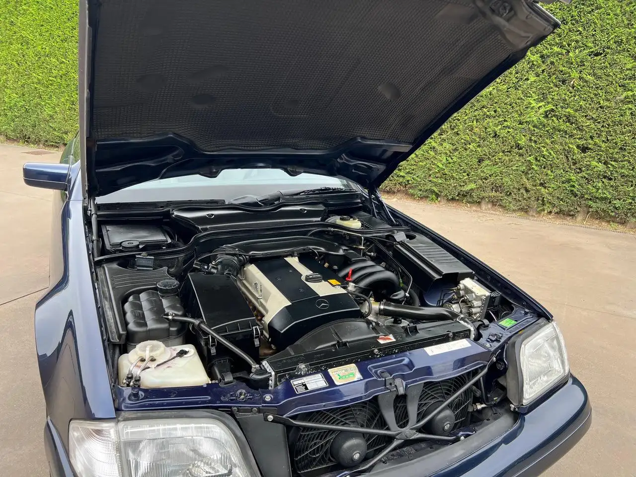 Mercedes-Benz SL 320 TETTO PANORAMICO "introvabile", foto 12