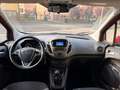 Ford Tourneo Courier 1.5 tdci 75cv, NEOPATENTATI! DISTRIBUZIONE 11/2024 Rot - thumbnail 15