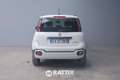 Fiat Panda 1.0 Firefly Hybrid 70CV Cross 5p.ti Bianco - thumbnail 5