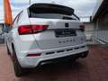 CUPRA Ateca Ateca VZ 2.0 TSI 4Drive DSG 300PS AHK Navi ACC Tot Weiß - thumbnail 5