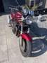 Suzuki Bandit 1200 toer sportief Rojo - thumbnail 10