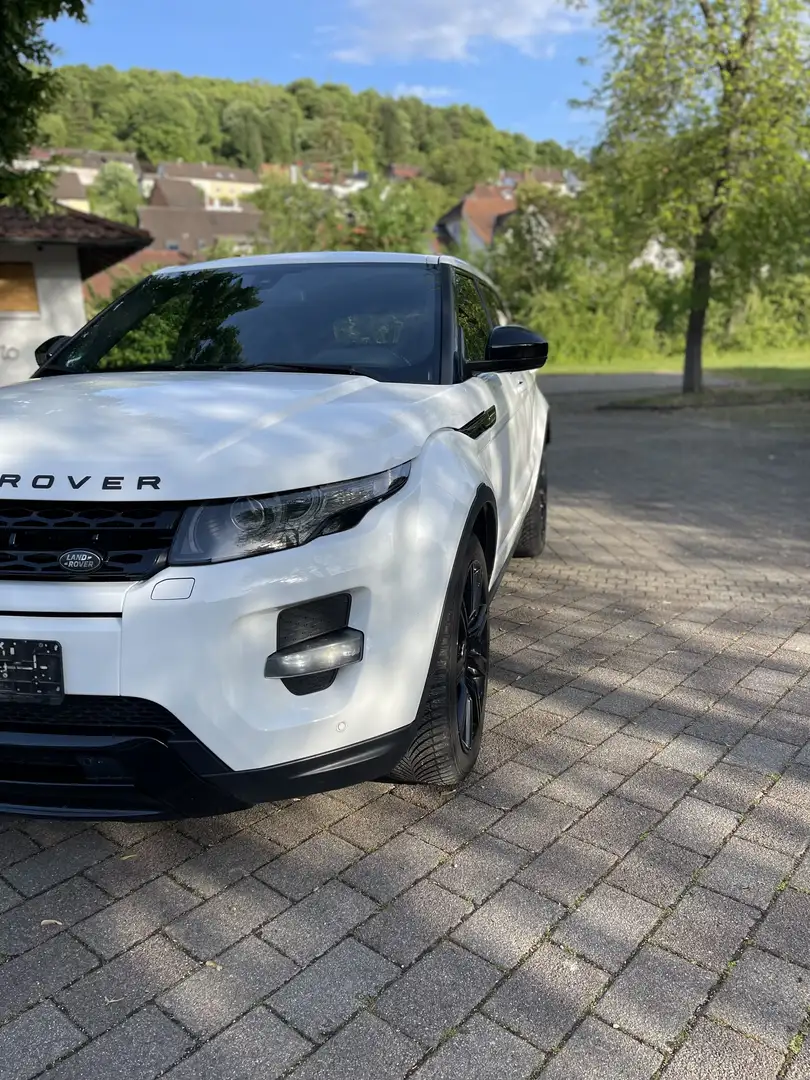 Land Rover Range Rover Evoque SD4 Aut. White Dynamic - 2