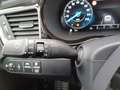 Kia ProCeed / pro_cee'd proceed 1,5 TGDI 48V GPF GT-Line DCT + P1 Schie... Rot - thumbnail 13