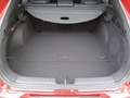 Kia ProCeed / pro_cee'd proceed 1,5 TGDI 48V GPF GT-Line DCT + P1 Schie... Rot - thumbnail 21