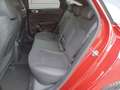 Kia ProCeed / pro_cee'd proceed 1,5 TGDI 48V GPF GT-Line DCT + P1 Schie... Rot - thumbnail 20