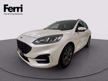 1.5 ecoblue ST-Line 2wd 120cv