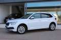 Skoda Kamiq 1.5 TSI Montecarlo DSG Blanco - thumbnail 2