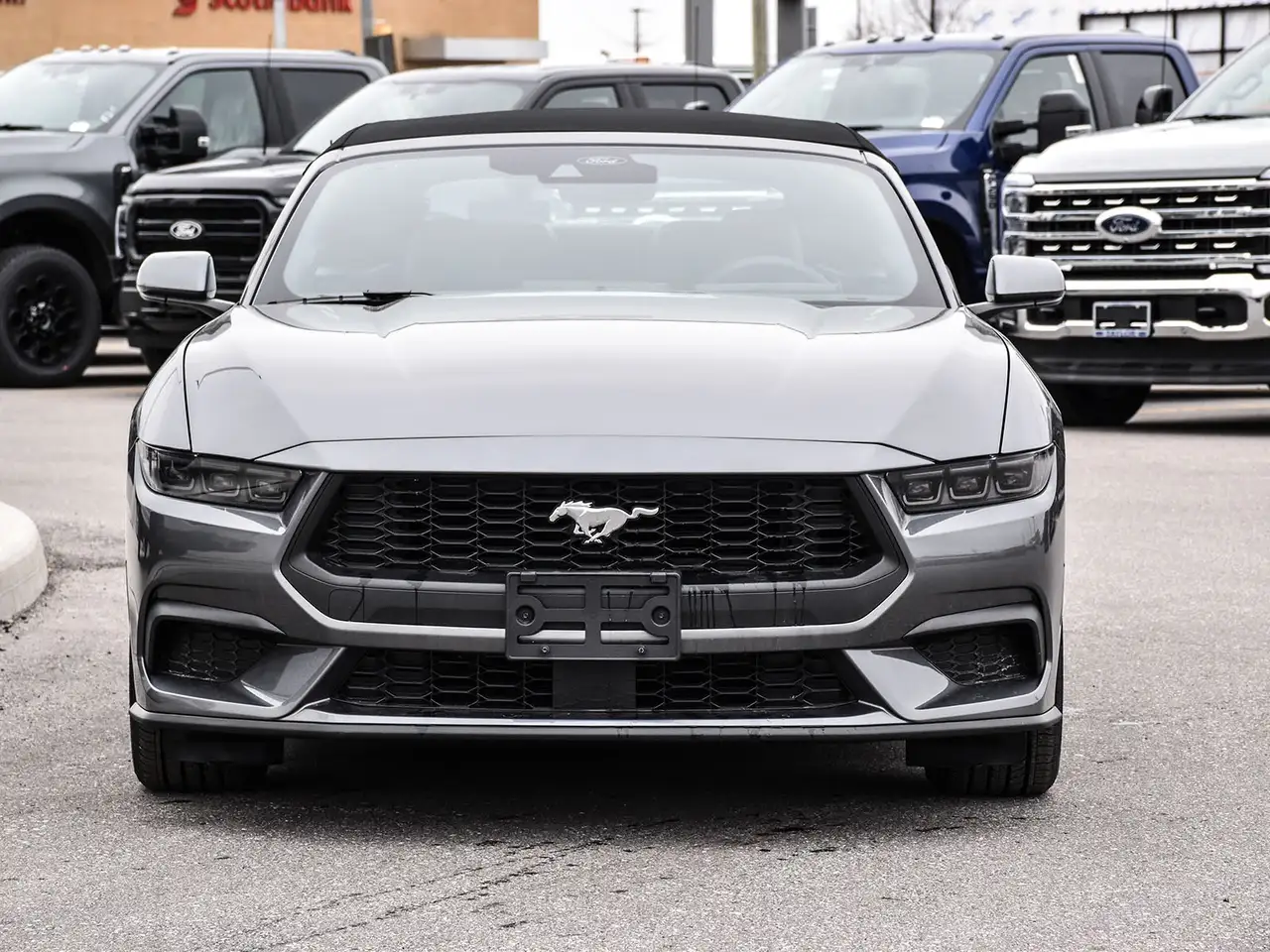 Ford Mustang снимка Ford Mustang