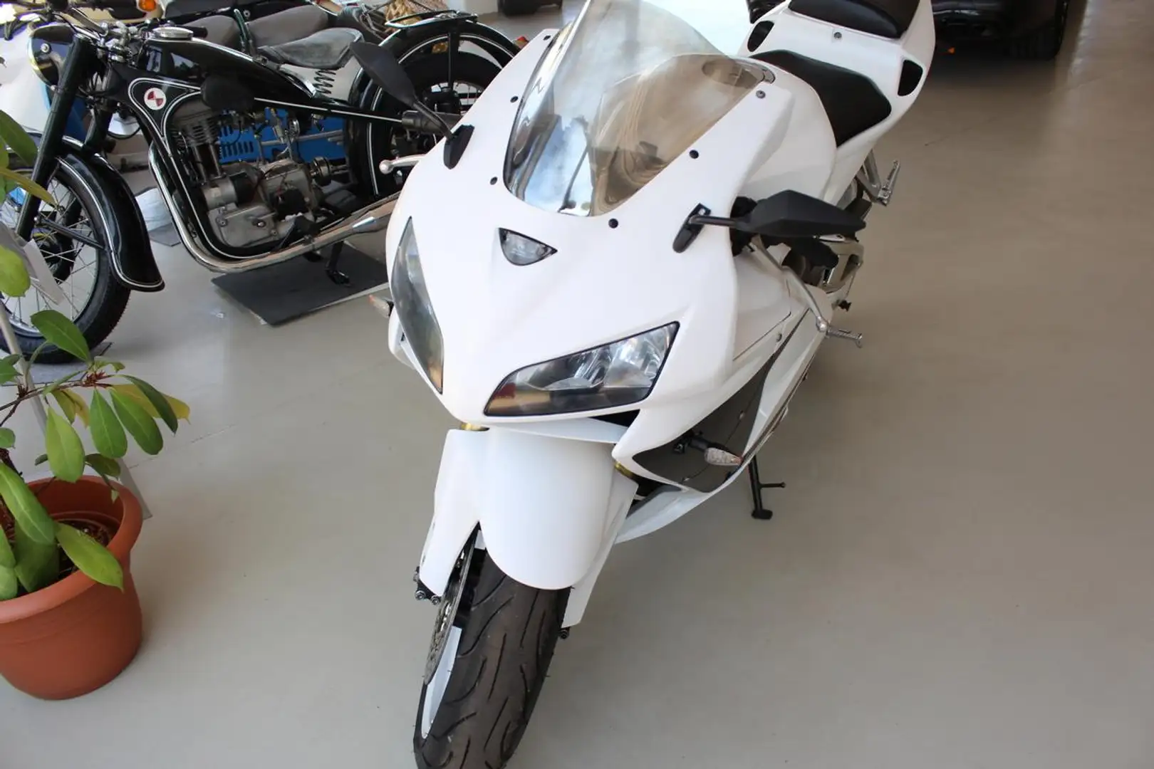 Honda CBR 600 Blanc - 2