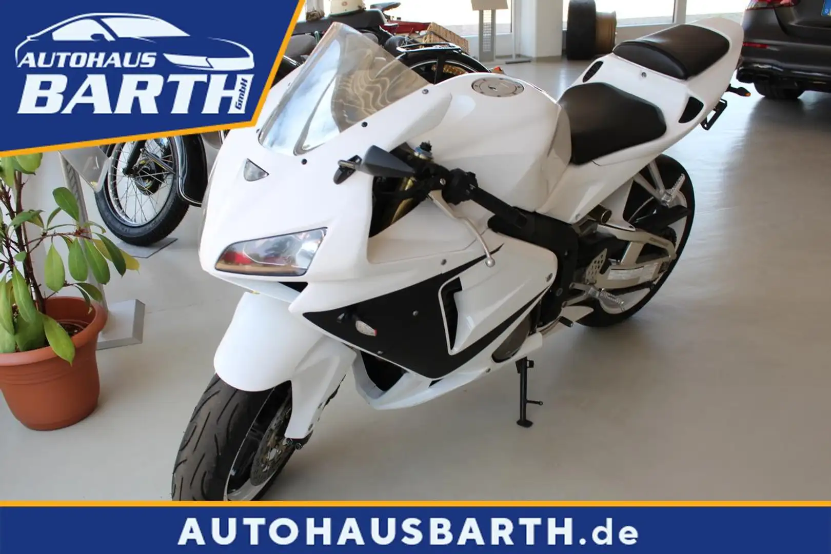 Honda CBR 600 bijela - 1