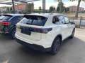 Volkswagen Tiguan Tiguan 1.5 etsi Life 130cv ACT DSG LIFE Blanc - thumbnail 12