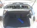 Ford C-Max 1.6 tdci Titanium 115cv BELLISSIMA!!! Argento - thumbnail 5
