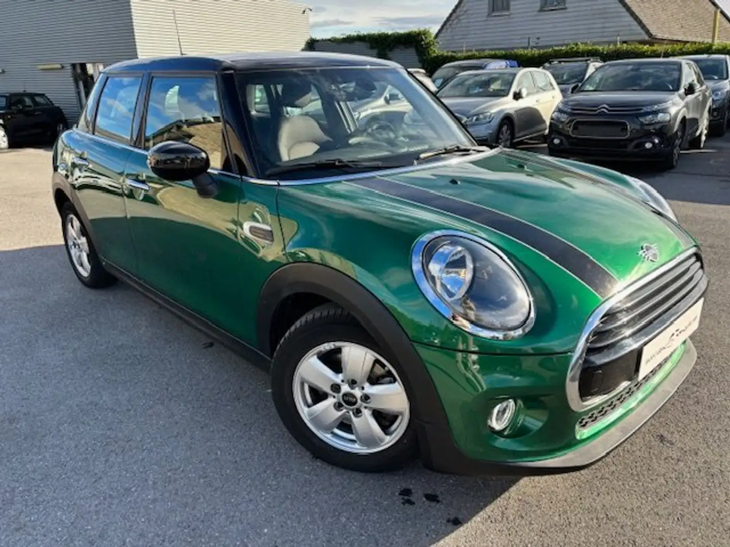 MINI Cooper 1.5 OPF (EU6d-TEMP) benzine Groen - 2
