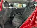 Kia Sportage 1.6 MHEV Black Edition 100kW 136CV 4x2 Burdeos - thumbnail 8