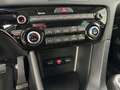 Kia Sportage 1.6 MHEV Black Edition 100kW 136CV 4x2 Burdeos - thumbnail 23