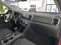 Kia Sportage 1.6 MHEV Black Edition 100kW 136CV 4x2 Burdeos - thumbnail 13