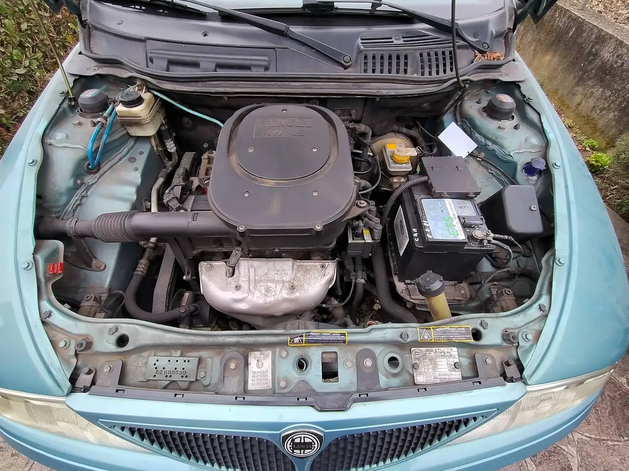 Lancia Ypsilon Y I 2000 Y 1.2 Elefantino Blu, foto 5