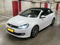 Volkswagen Golf Cabriolet Golf Cabrio 2.0 TDI BlueMotion Technology DSG Blanc - thumbnail 4