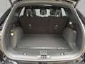 Ford Kuga 1.5 ST-LINE X AHK+LED+NAVI+PANORAMADACH Zwart - thumbnail 5
