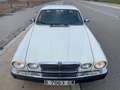 Jaguar XJ12 Sovereign Weiß - thumbnail 19