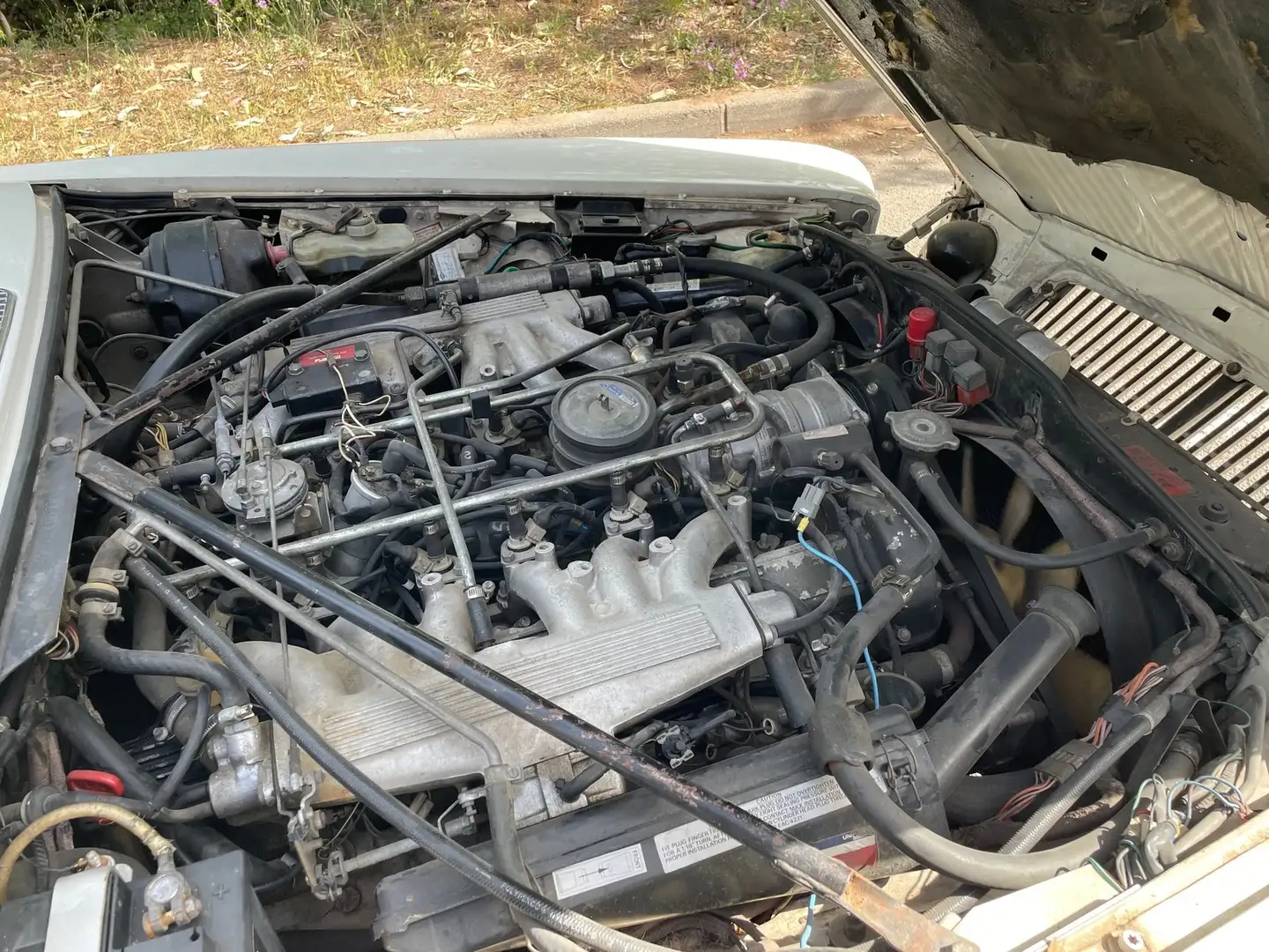 Jaguar XJ12 Sovereign Weiß - 1