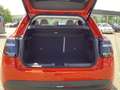 Fiat 600 e la Prima Orange - thumbnail 13