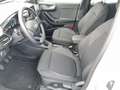 Ford Puma 1.0 EcoBoost Hybrid TITANIUM DESIGN Weiß - thumbnail 6