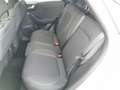 Ford Puma 1.0 EcoBoost Hybrid TITANIUM DESIGN Weiß - thumbnail 8