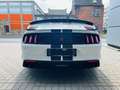 Ford Mustang 5.2i / Original Shelby gt350R / 1 of 702 Blanc - thumbnail 4