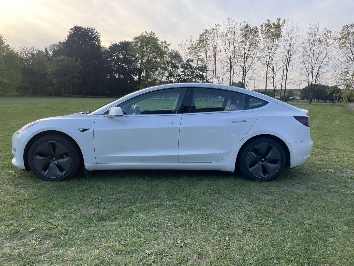2020 Tesla Model 3 Standard Range Plus *One Owner / Clean Carfax alt 3