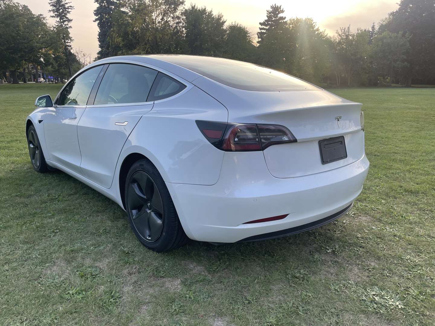 2020 Tesla Model 3 Standard Range Plus *One Owner / Clean Carfax alt 4