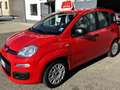 Fiat Panda Panda 1.0 FireFly S&S Hybrid Rosso - thumbnail 1