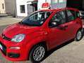 Fiat Panda Panda 1.0 FireFly S&S Hybrid Rosso - thumbnail 5