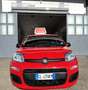 Fiat Panda Panda 1.0 FireFly S&S Hybrid Rosso - thumbnail 3