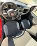 Fiat Panda Panda 1.0 FireFly S&S Hybrid Rosso - thumbnail 11