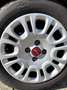 Fiat Panda Panda 1.0 FireFly S&S Hybrid Rosso - thumbnail 7