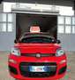 Fiat Panda Panda 1.0 FireFly S&S Hybrid Rosso - thumbnail 4