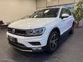 Volkswagen Tiguan Volkswagen Tiguan 2.0 TDI SCR 4MOTION Business Weiß - thumbnail 2