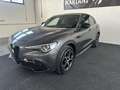 Alfa Romeo Stelvio 2.0 t Veloce Q4 280cv auto Gris - thumbnail 2