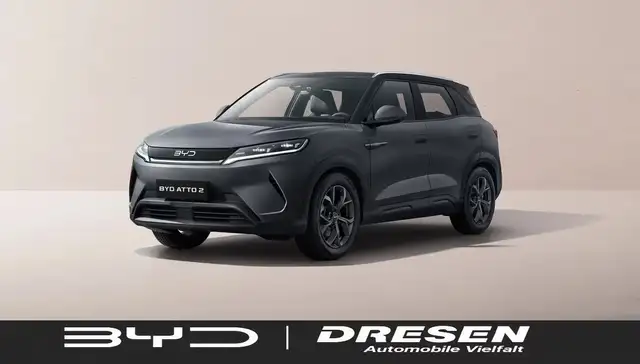 BYD Sonstige