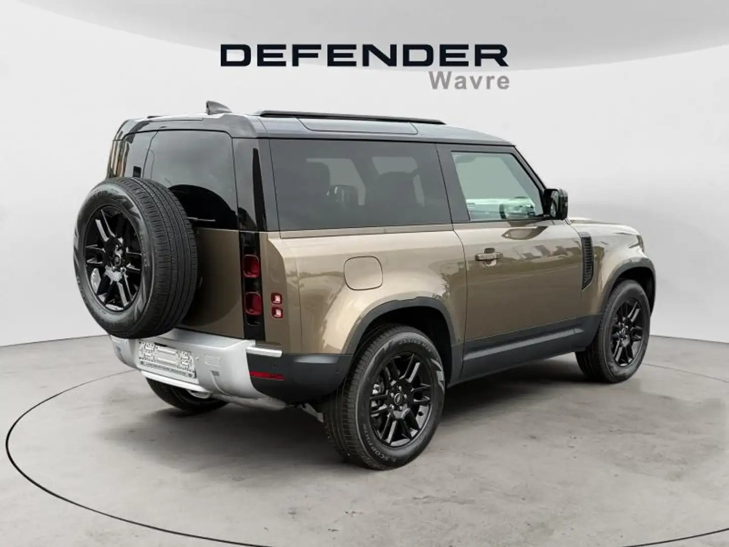 Land Rover Defender [90] D250 S Brun - 2