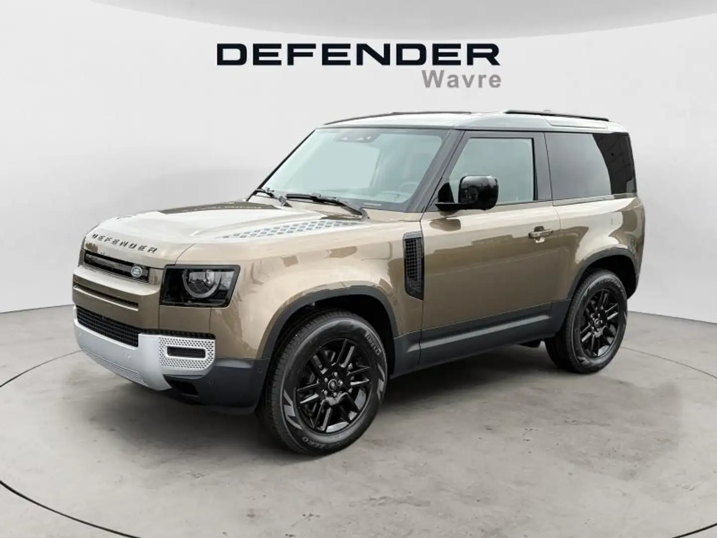 Land Rover Defender [90] D250 S Brun - 1