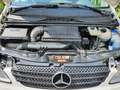 Mercedes-Benz Vito Vito 115 CDI 115 CDI kurz Weiß - thumbnail 8