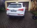 Audi Q5 Q5 Diesel 3.0 TDI quattro S tronic Weiß - thumbnail 7